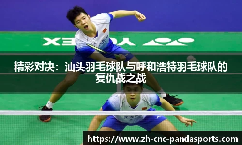 精彩对决：汕头羽毛球队与呼和浩特羽毛球队的复仇战之战