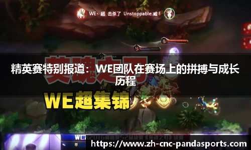 熊猫体育官方网站